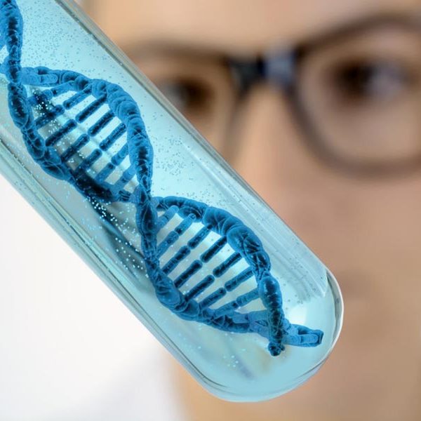 Czy otyłość mamy w genach