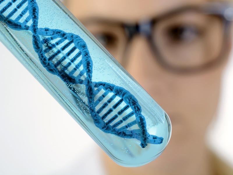 Czy otyłość mamy w genach